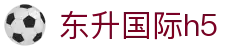 东升国际h5